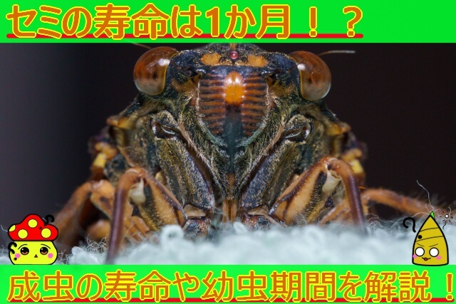 Thumbnail of post image 001